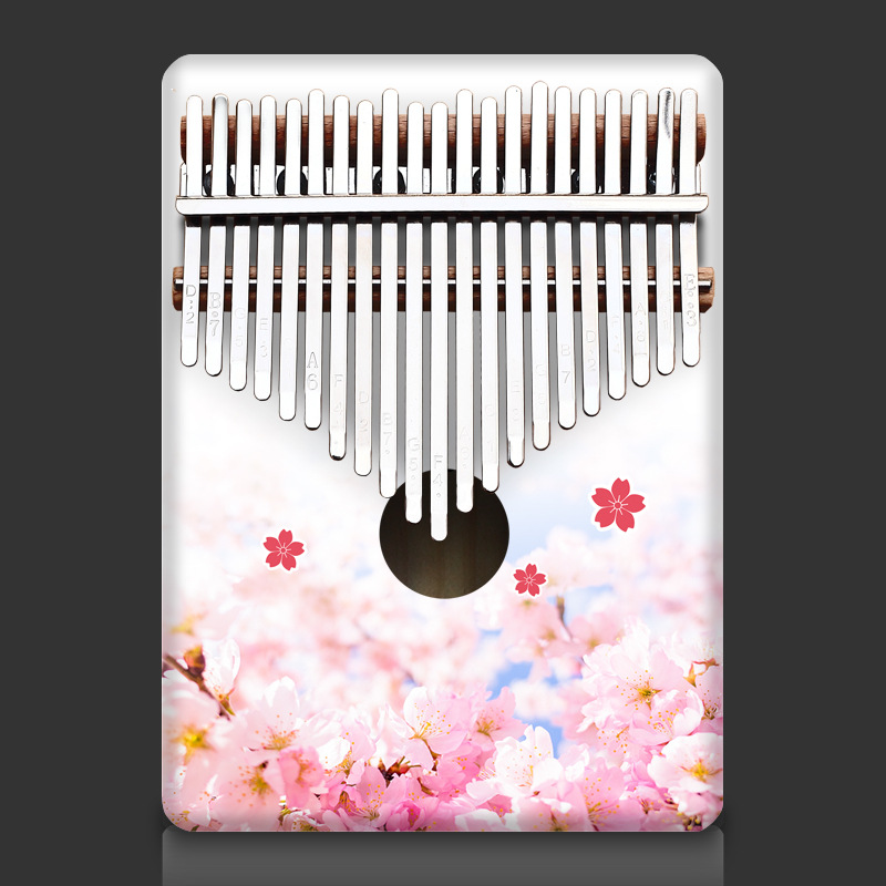 Colorful 21 Key Kalimba Kids C - Musical Instrument Keyboard 评论和价格