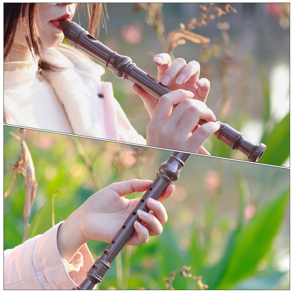Professional 8 Hole Plastic So - Soprano Recorder Plastic 评论和价格
