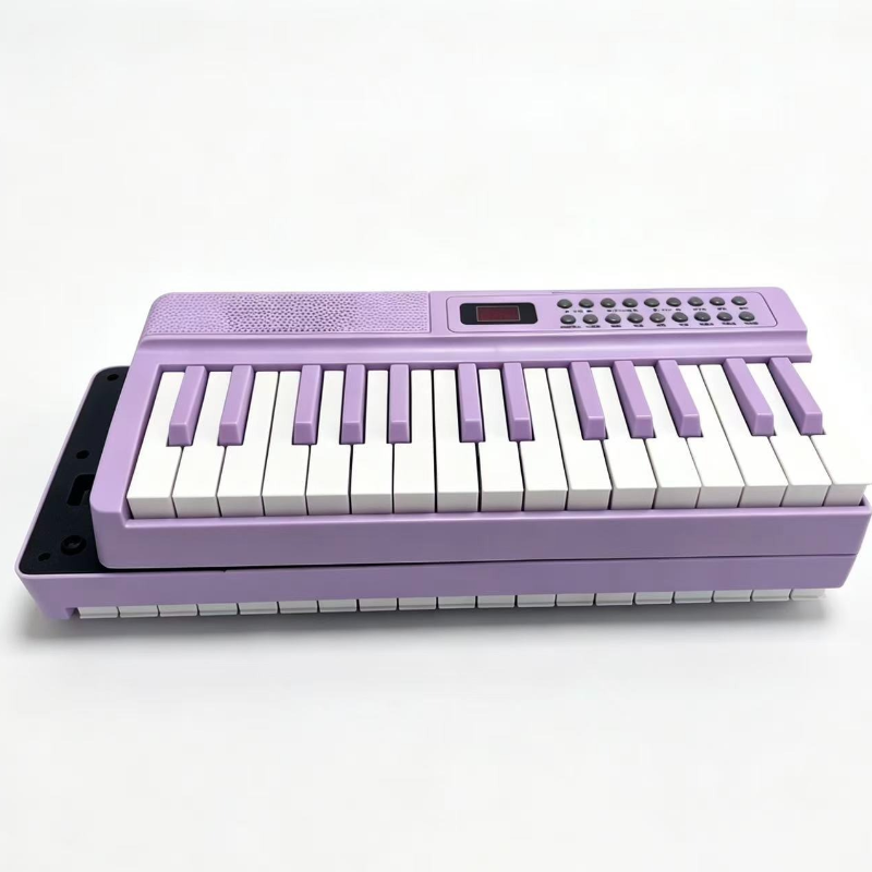 61-Key Portable Digital Piano  - Musical Instrument Keyboard 评论和价格