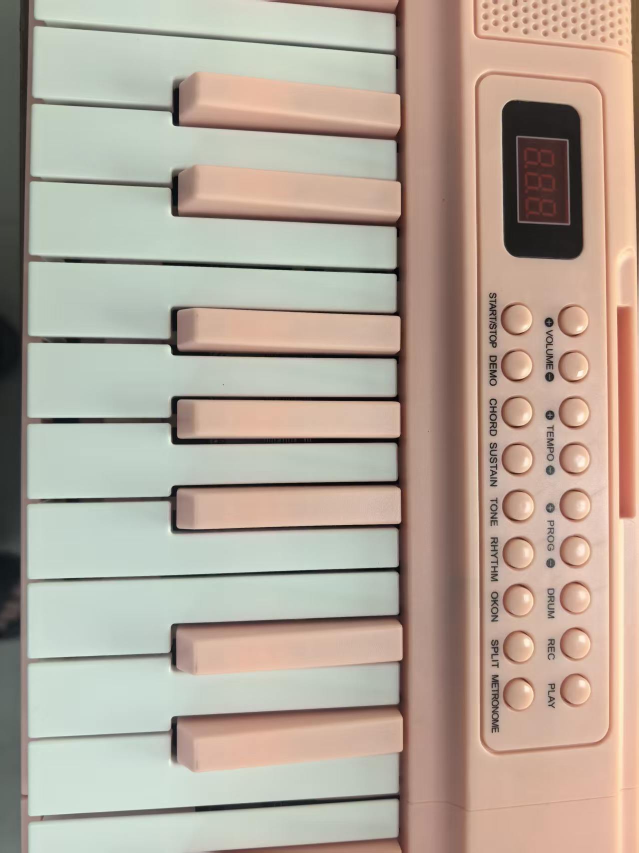 61-Key Portable Digital Piano  - Musical Instrument Keyboard 评论和价格