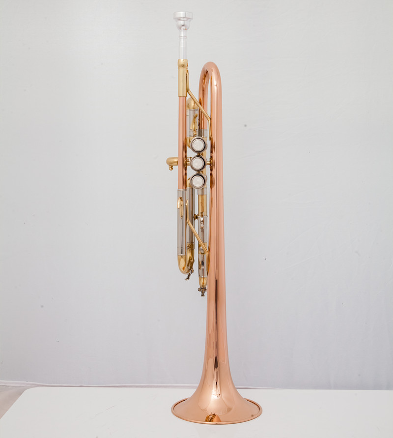 Professional C Trumpet  Music  - Musical Instrument Fagot 评论和价格